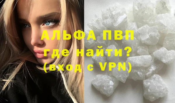 гидра Богородицк